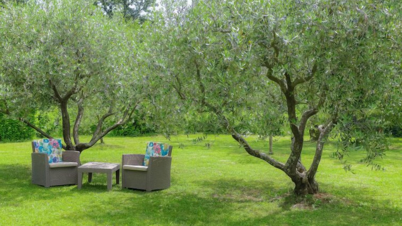 Photo of Outdoor in Marceljani
