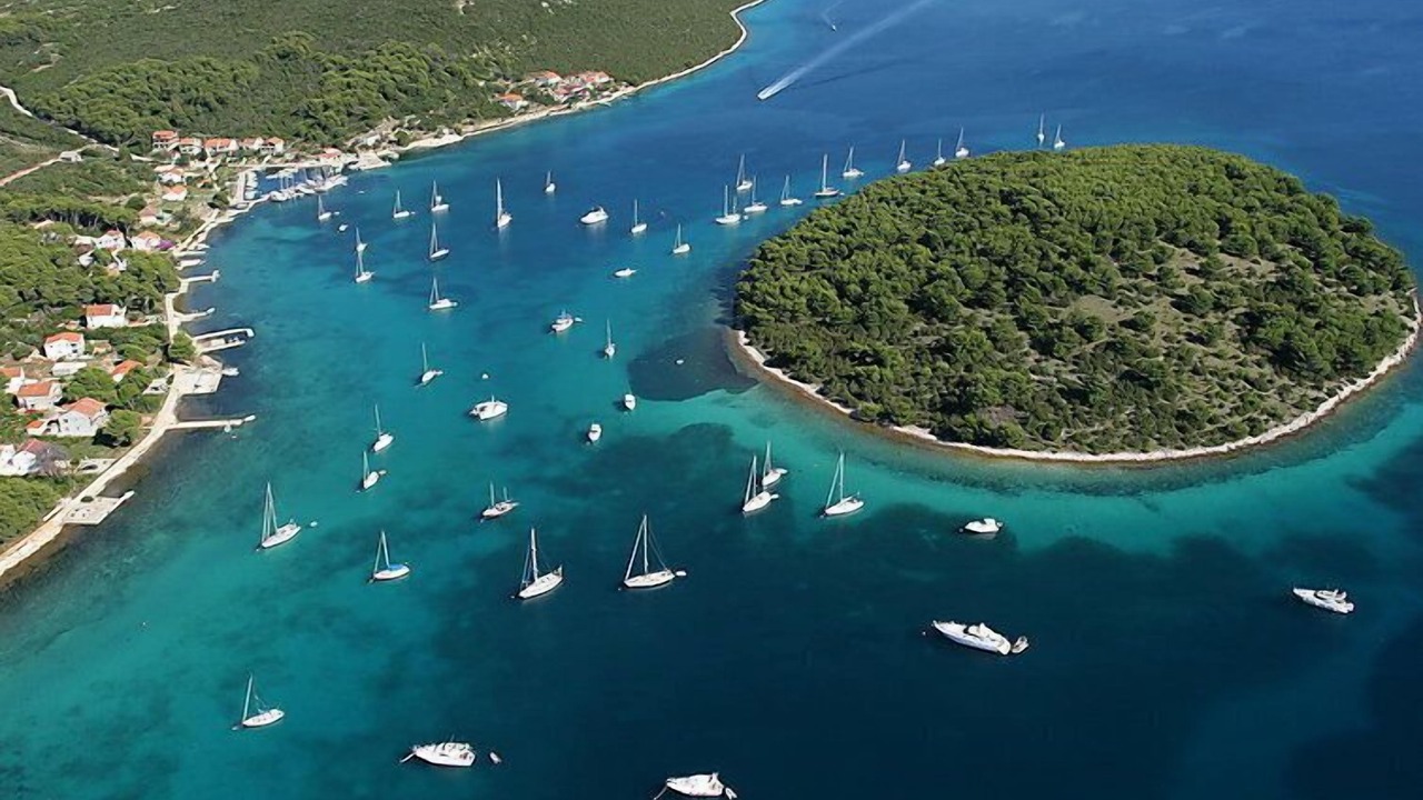 Photo of Outdoor in Molat