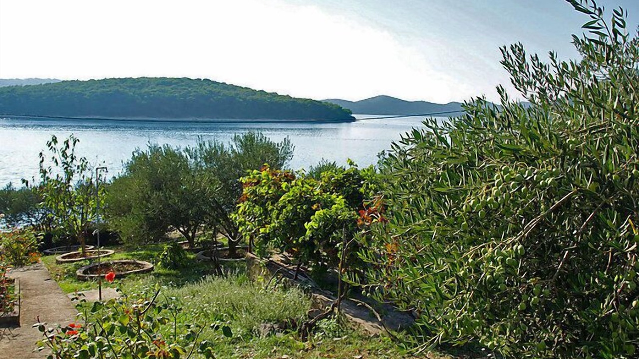 Photo of Outdoor in Molat