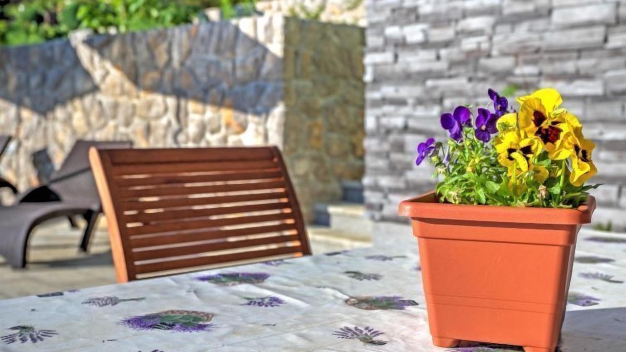 Photo of Outdoor in Viskovo