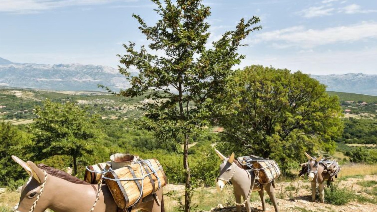 Photo of Outdoor in Krusevo