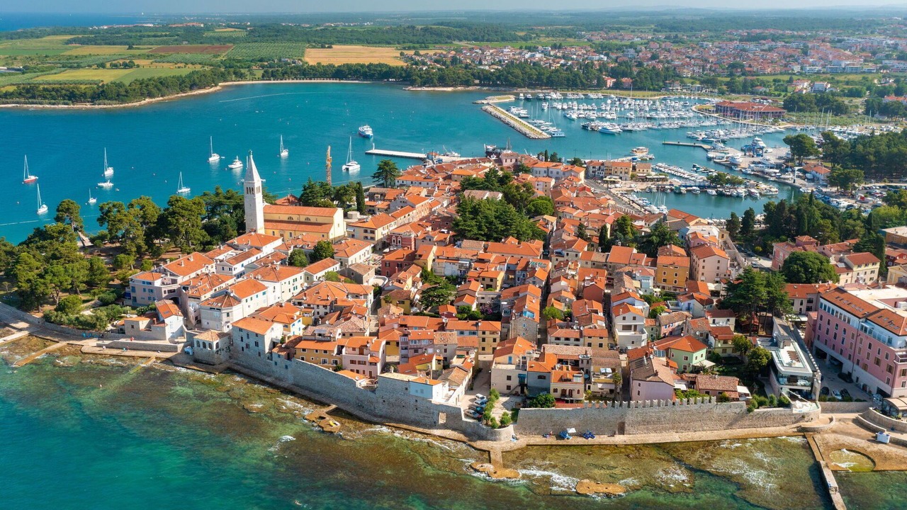Photo of Others in Novigrad