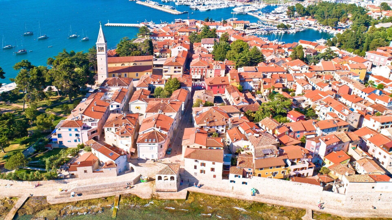 Photo of Others in Novigrad
