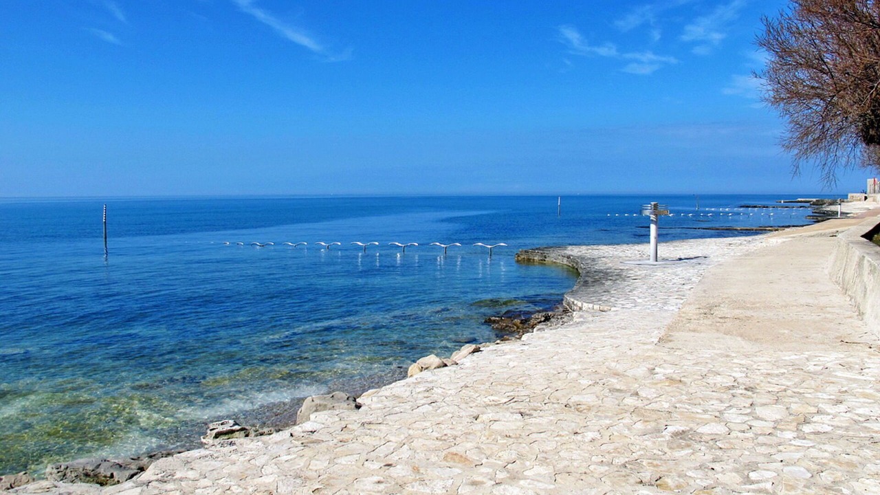Photo of Others in Novigrad
