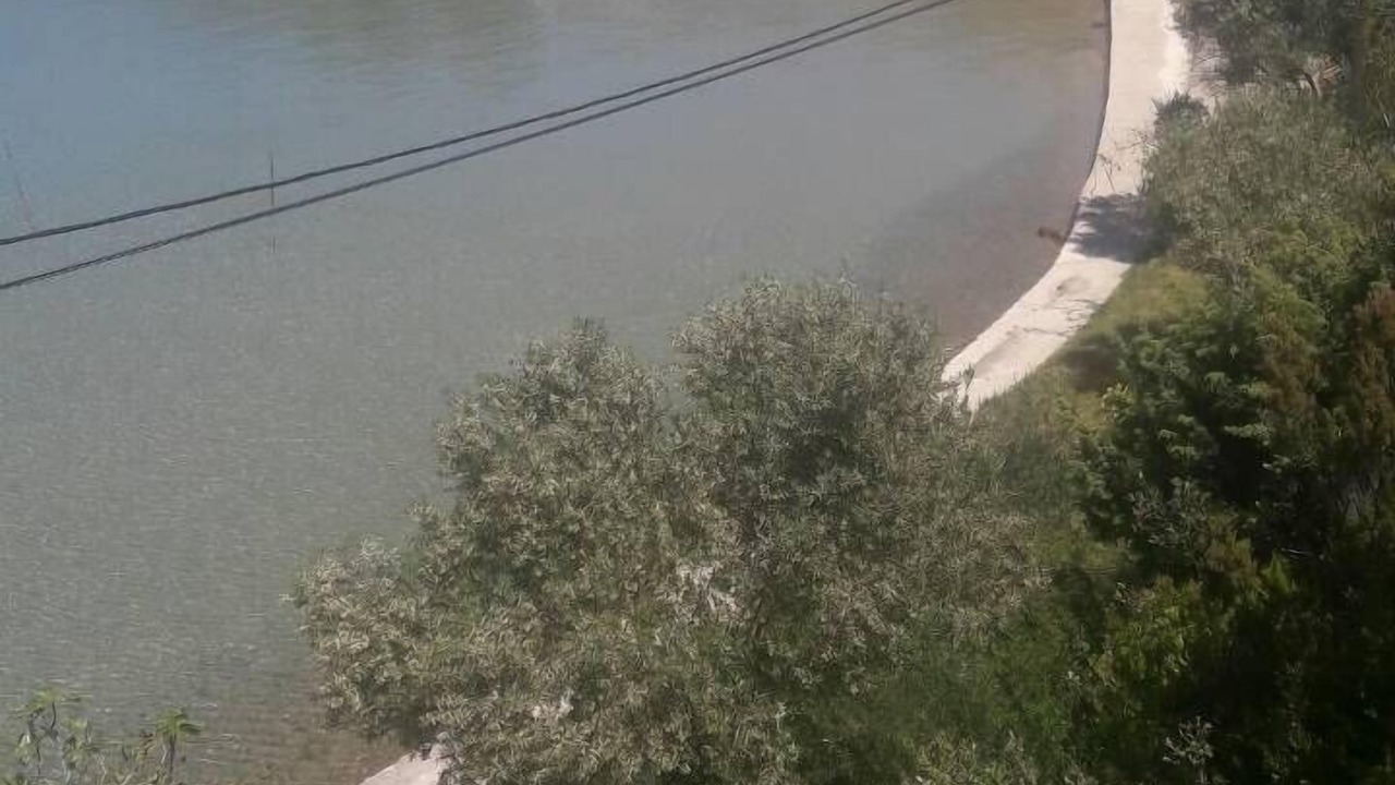 Photo of Others in Supetarska Draga