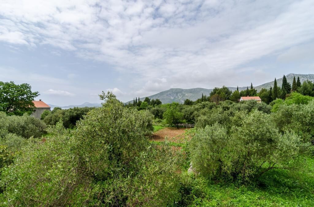 Photo of Outdoor in Banici