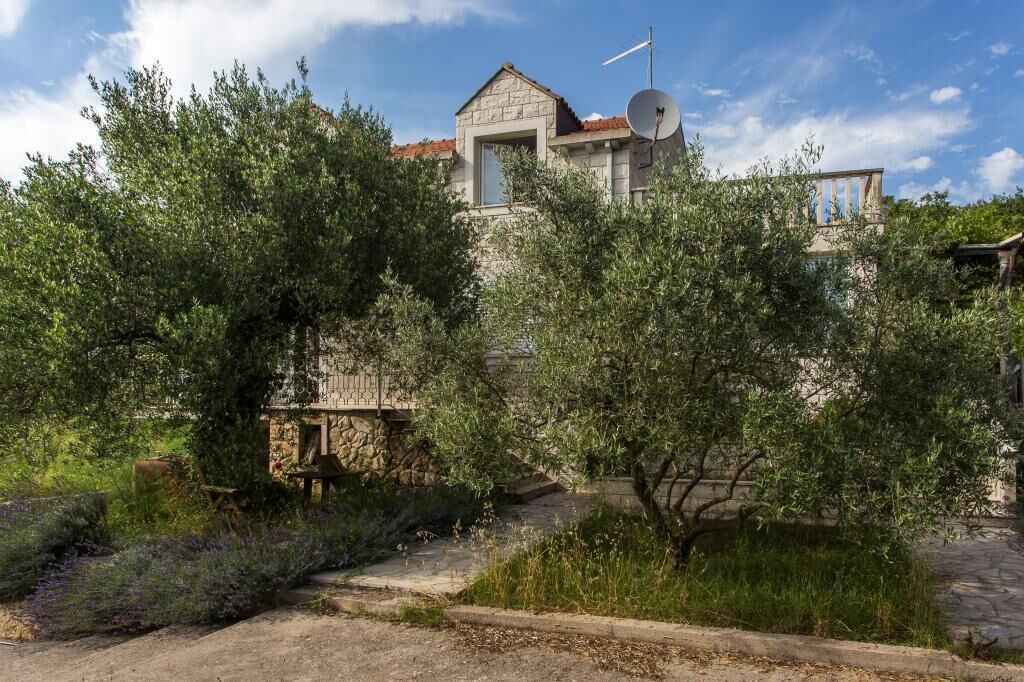 Photo of Outdoor in Cilipi