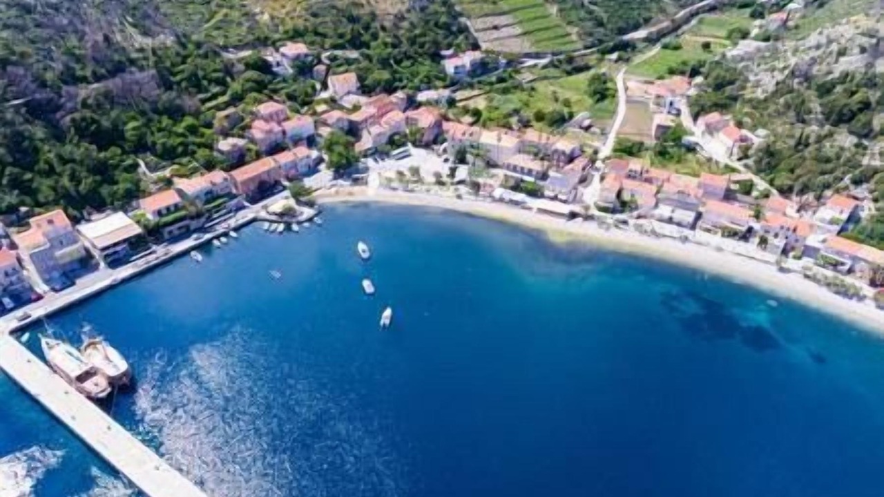 Photo of Others in Trstenik