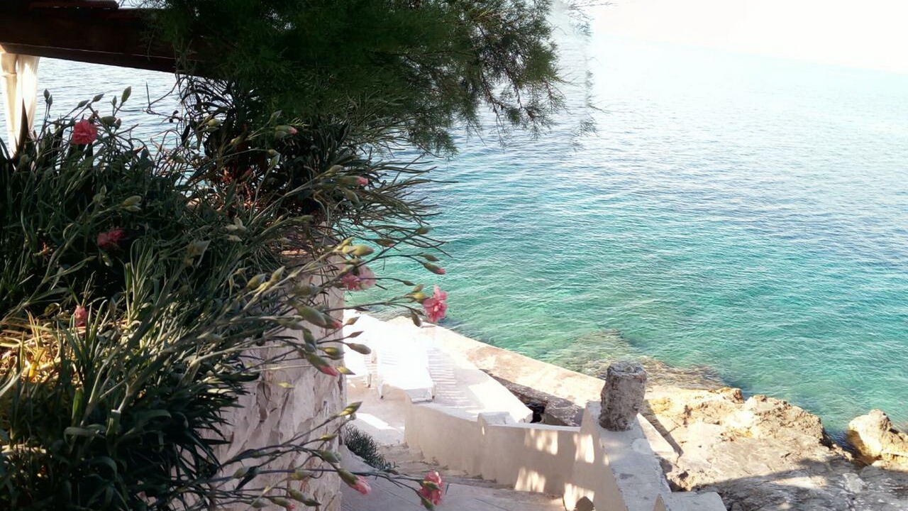 Photo of Others in Blato