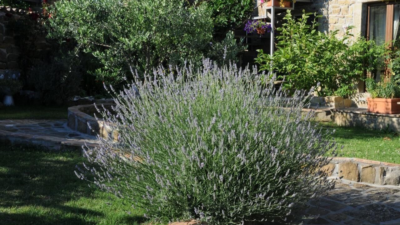 Photo of Outdoor in Bric