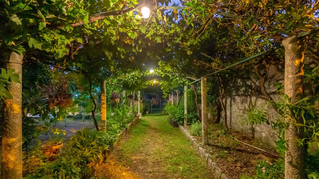 Photo of Outdoor in Mokosica