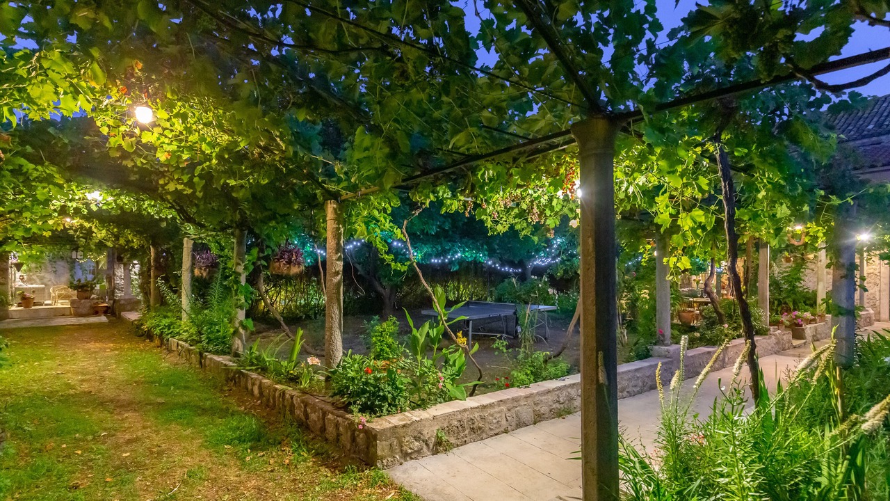 Photo of Outdoor in Mokosica