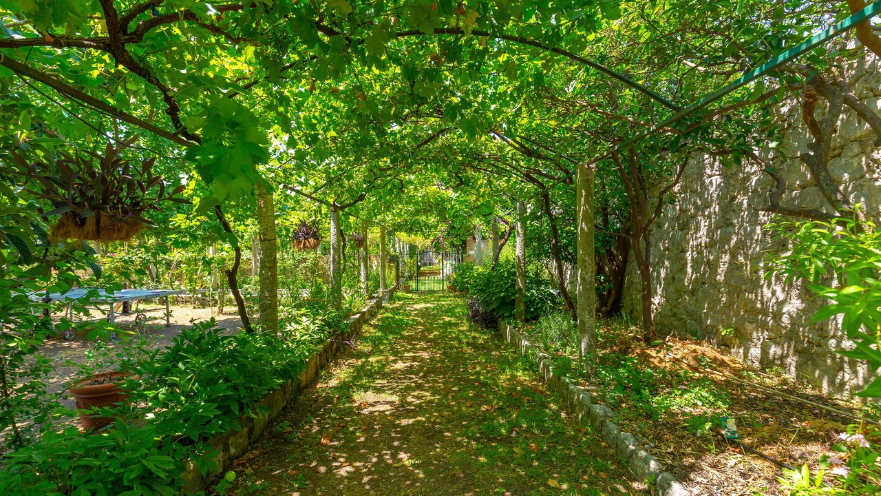 Photo of Outdoor in Mokosica