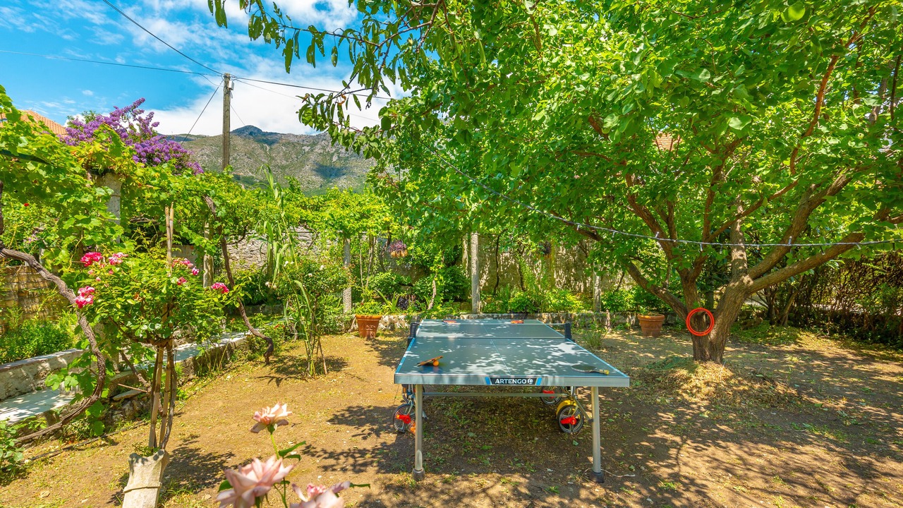 Photo of Outdoor in Mokosica