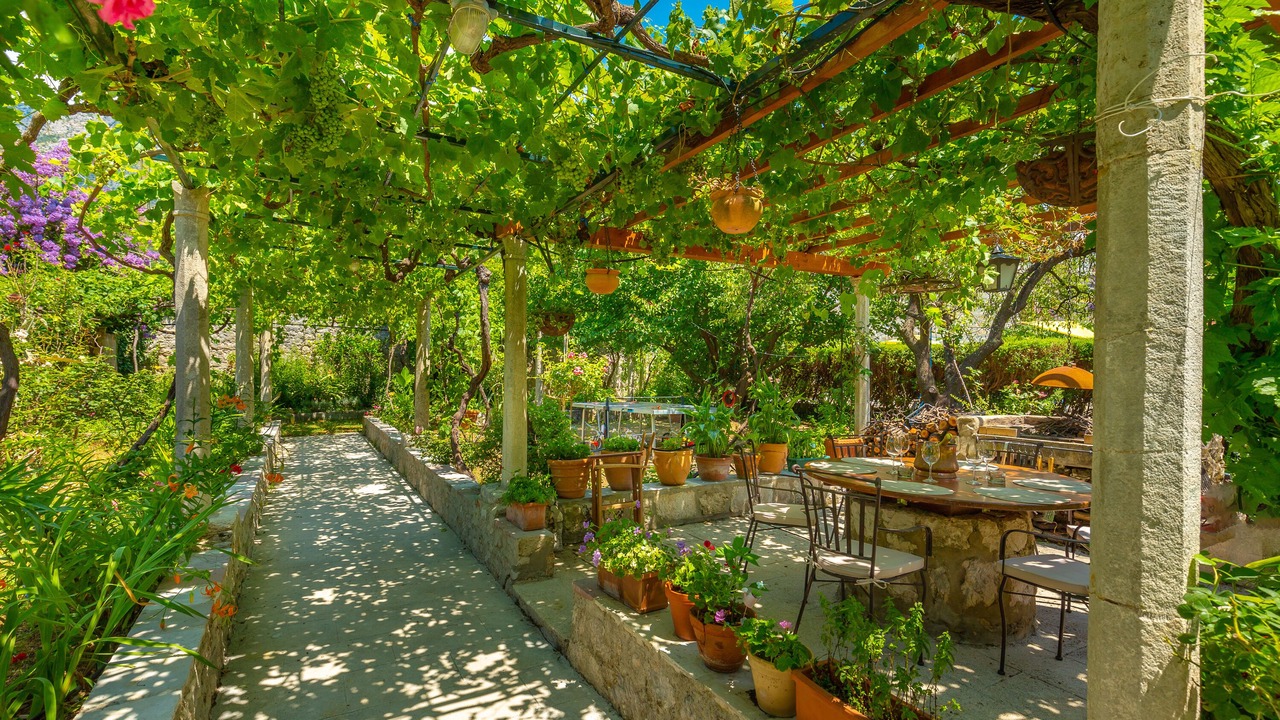 Photo of Outdoor in Mokosica