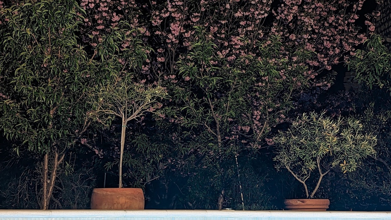 Photo of Outdoor in Mokosica