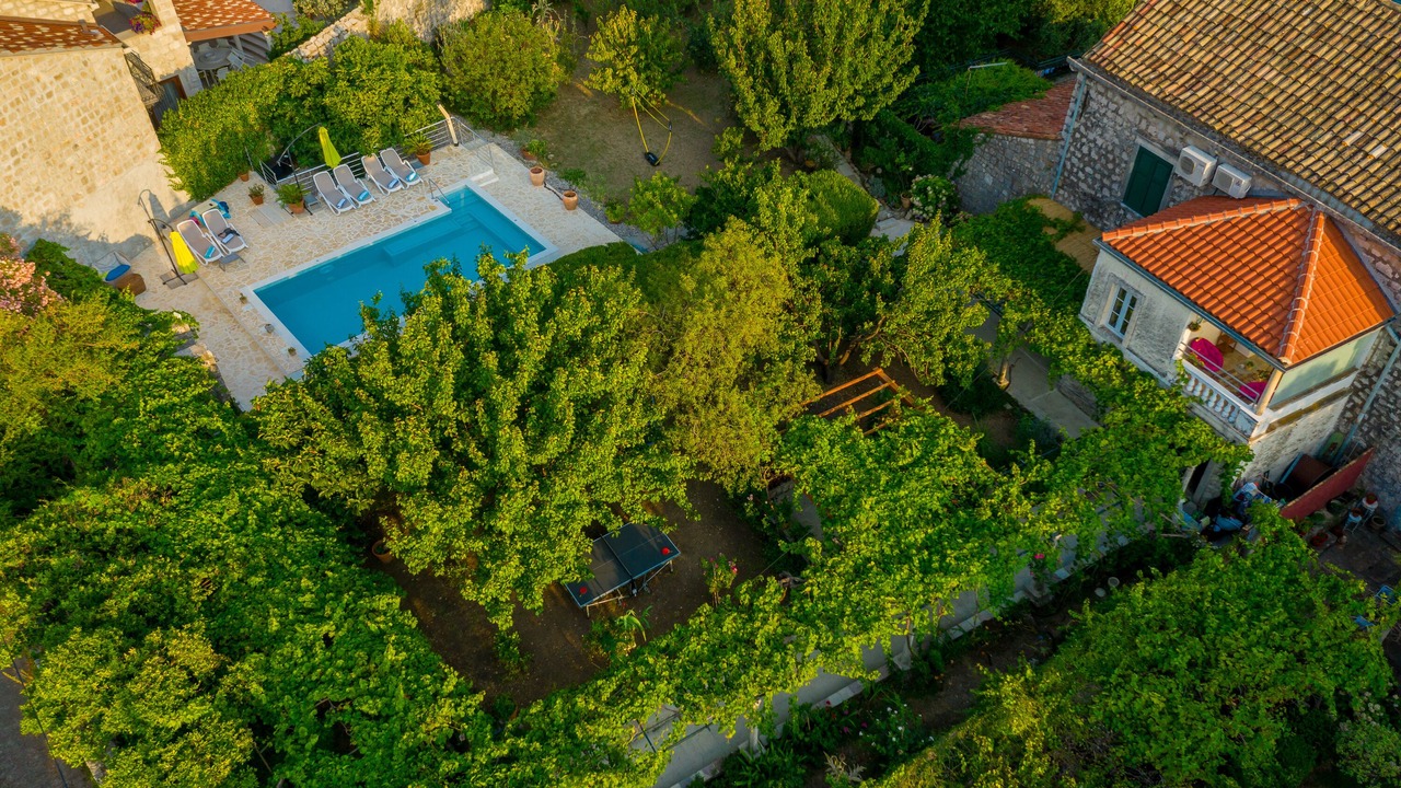 Photo of Outdoor in Mokosica