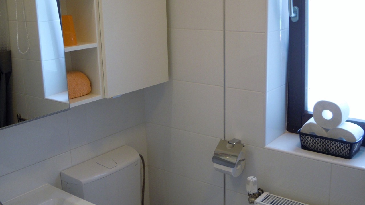 Photo of Bathroom in Petrovija