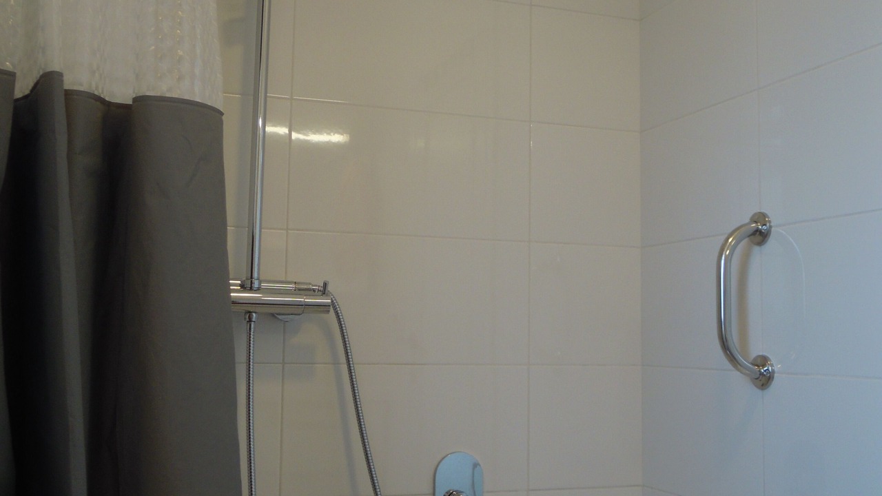 Photo of Bathroom in Petrovija
