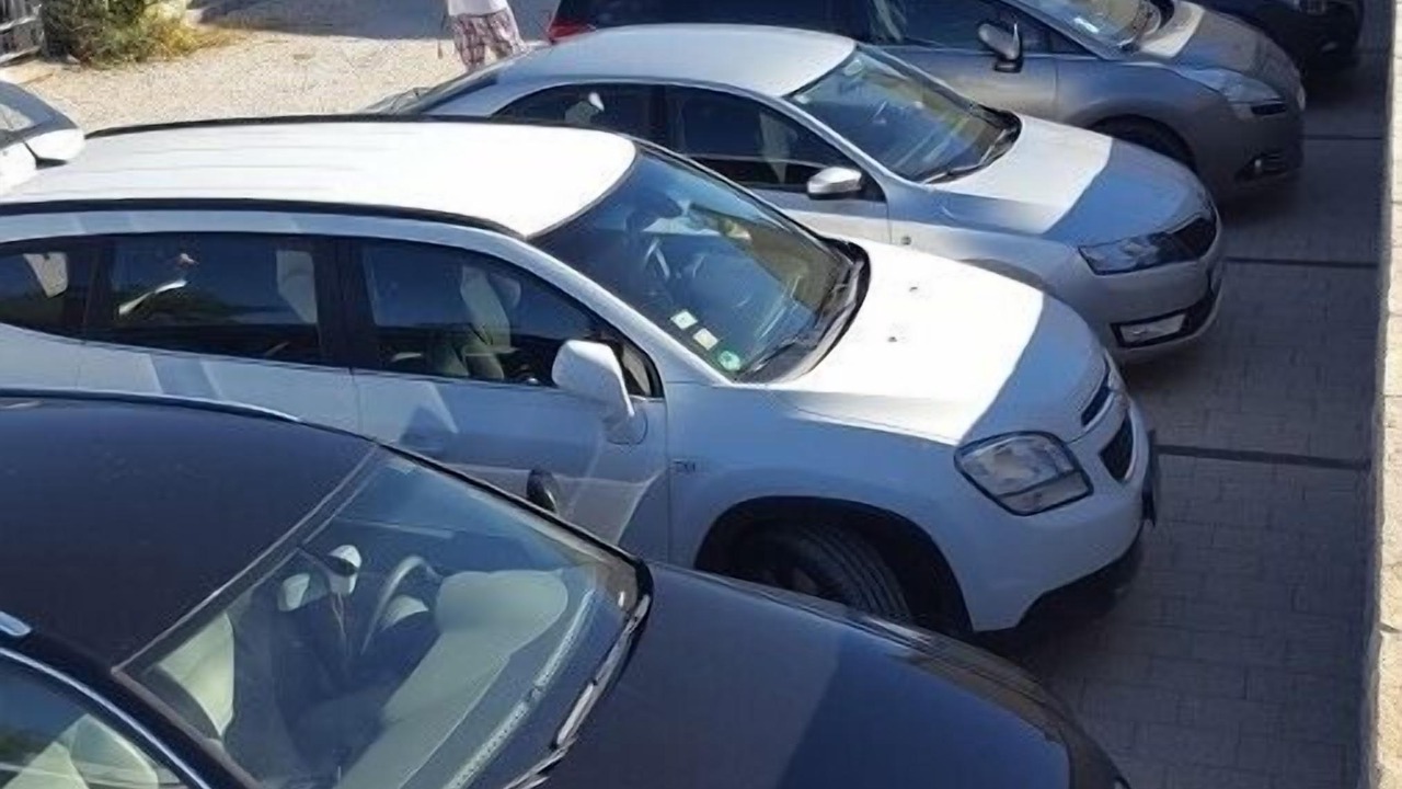Photo of Others in Zaton
