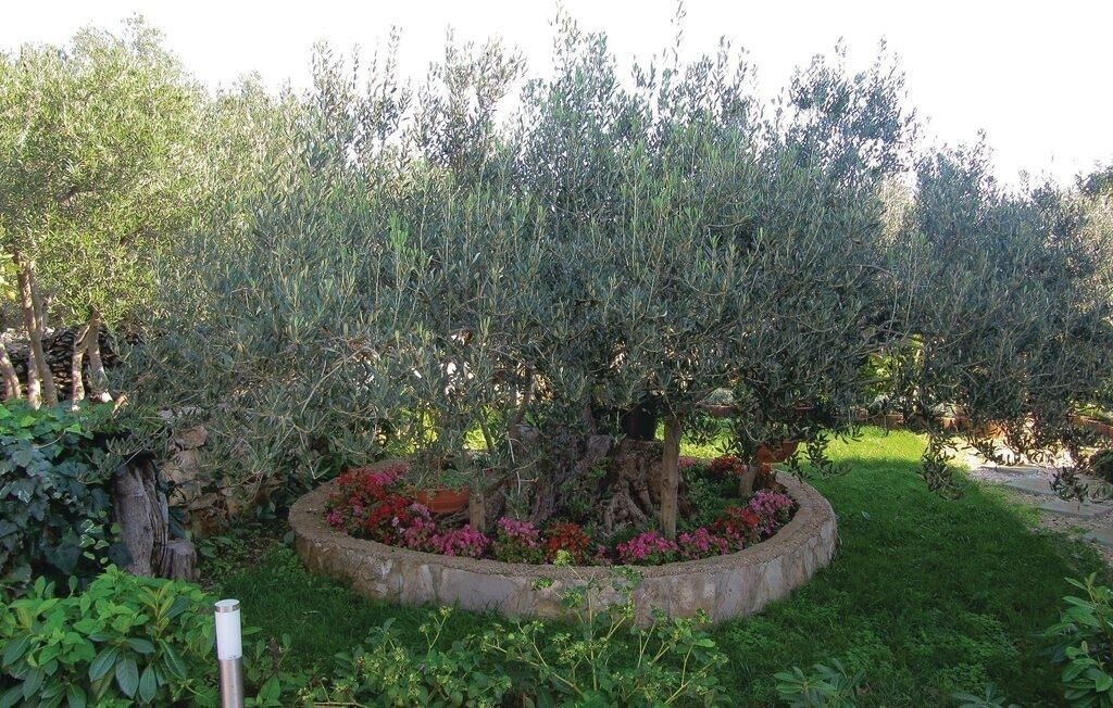 Photo of Outdoor in Sucuraj