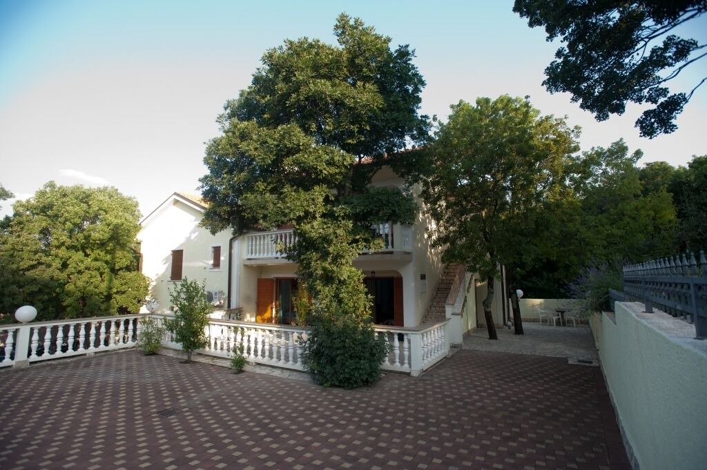 Photo of Outdoor in Povile