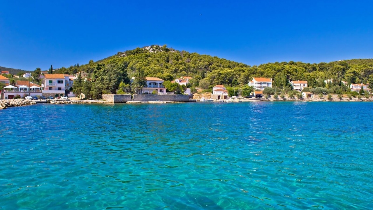 Photo of Others in Kali