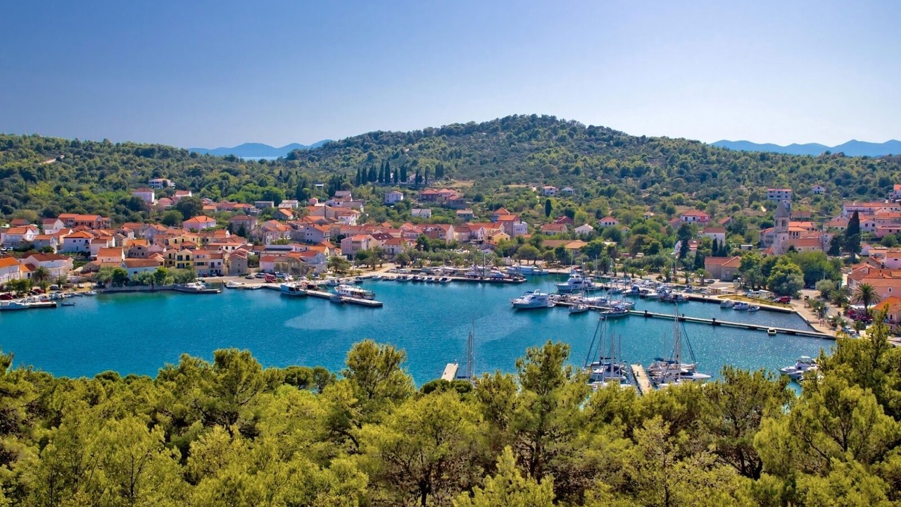 Photo of Others in Kali