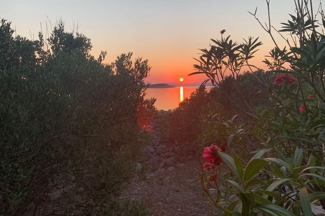 Photo of Outdoor in Gangaro