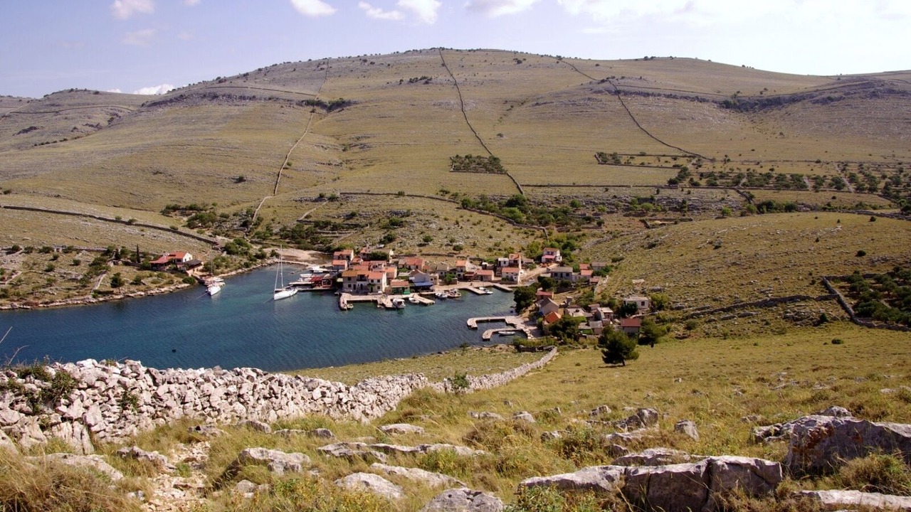 Photo of Others in Gangaro