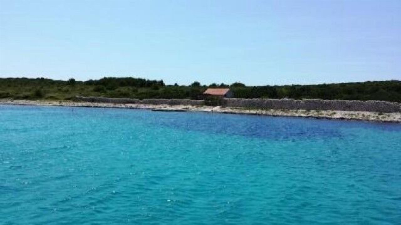 Photo of Others in Gangaro