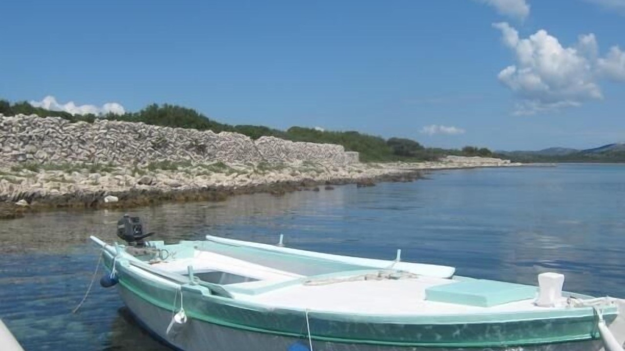 Photo of Others in Gangaro