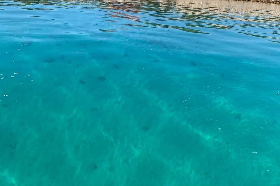 Photo of Others in Gangaro