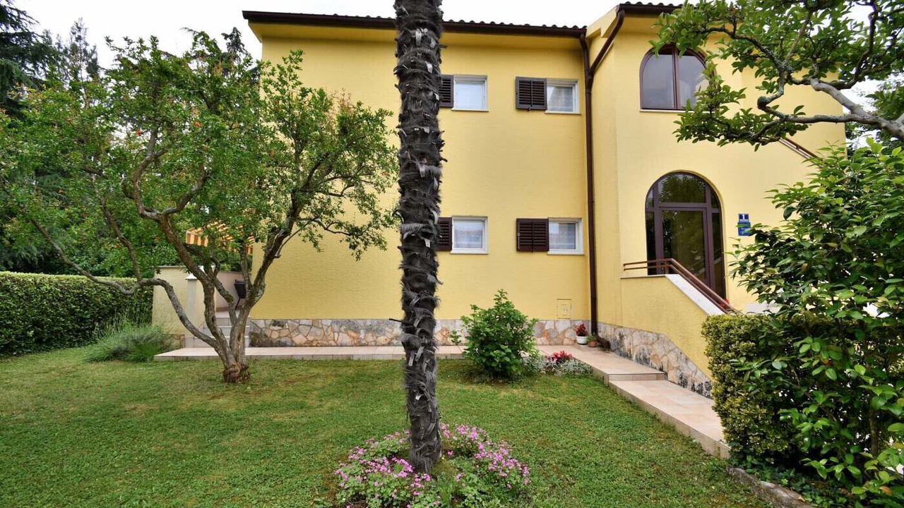 Photo of Outdoor in Spadici