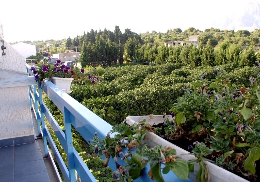 Photo of Outdoor in Sucuraj
