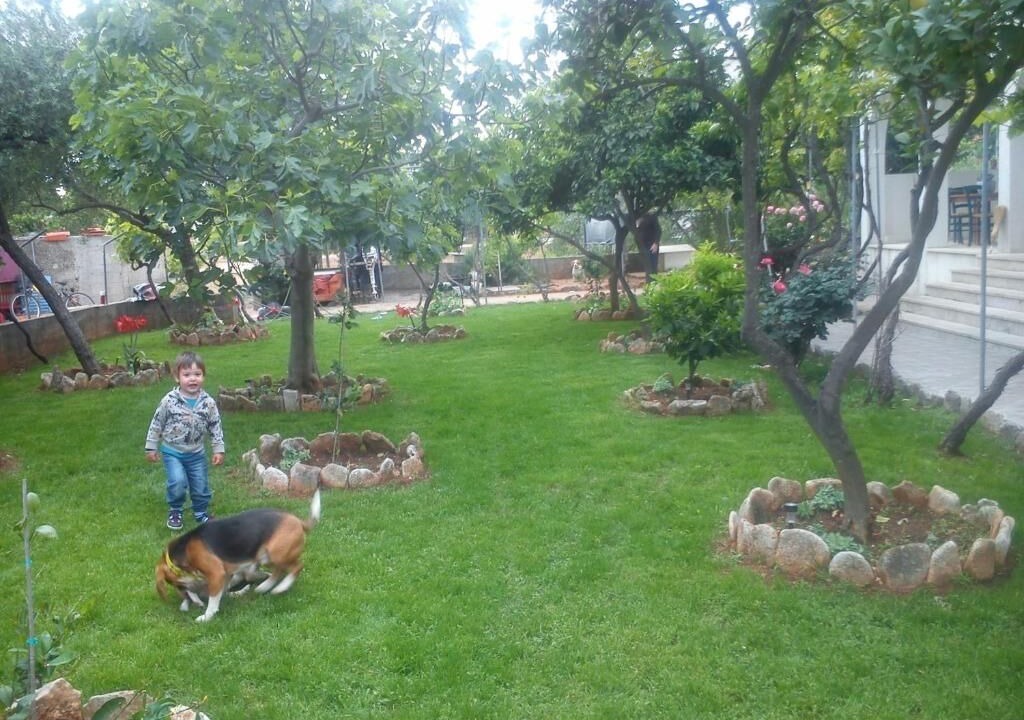 Photo of Outdoor in Sucuraj