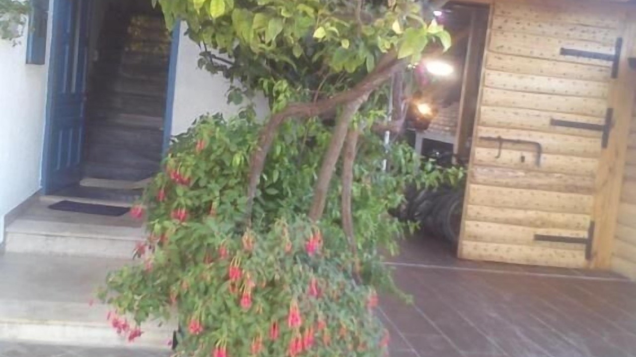 Photo of Outdoor in Sucuraj