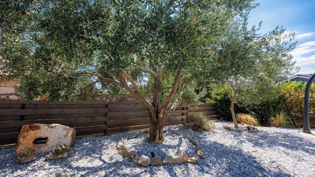 Photo of Outdoor in Bribir