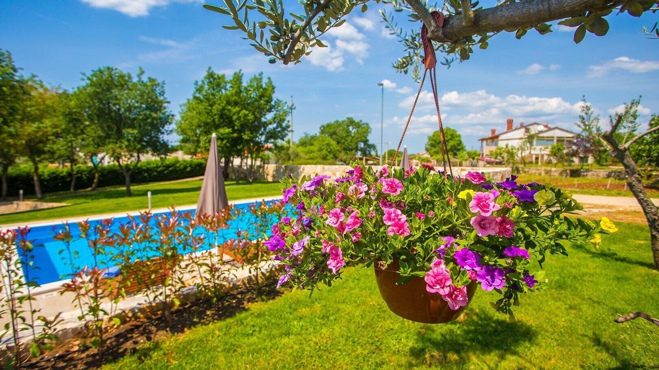 Photo of Outdoor in Sveti Lovrec