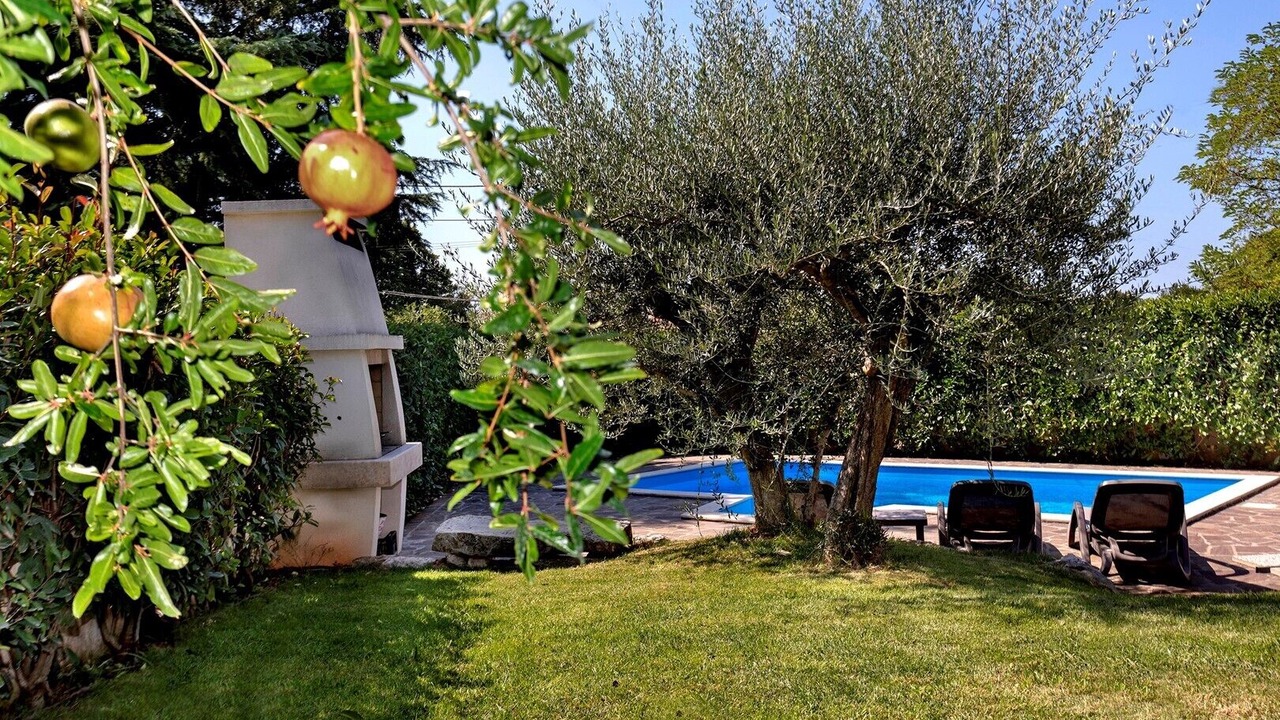 Photo of Outdoor in Kosinozici