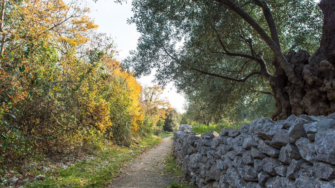 Photo of Outdoor in Ravni