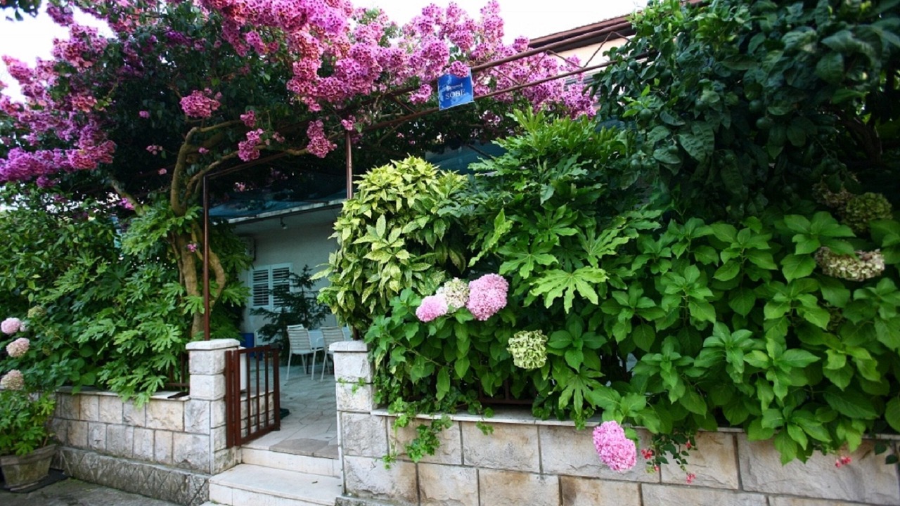 Photo of Outdoor in Loviste