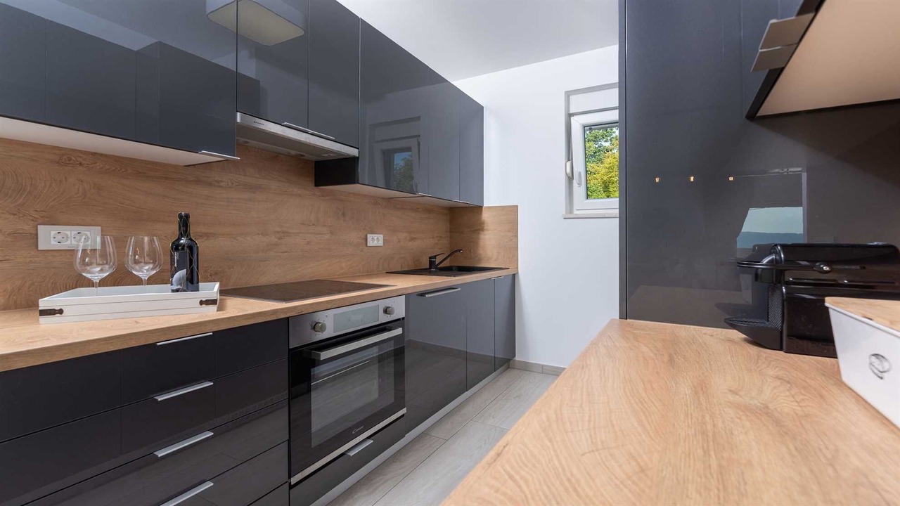Photo of Kitchen in Milohnici