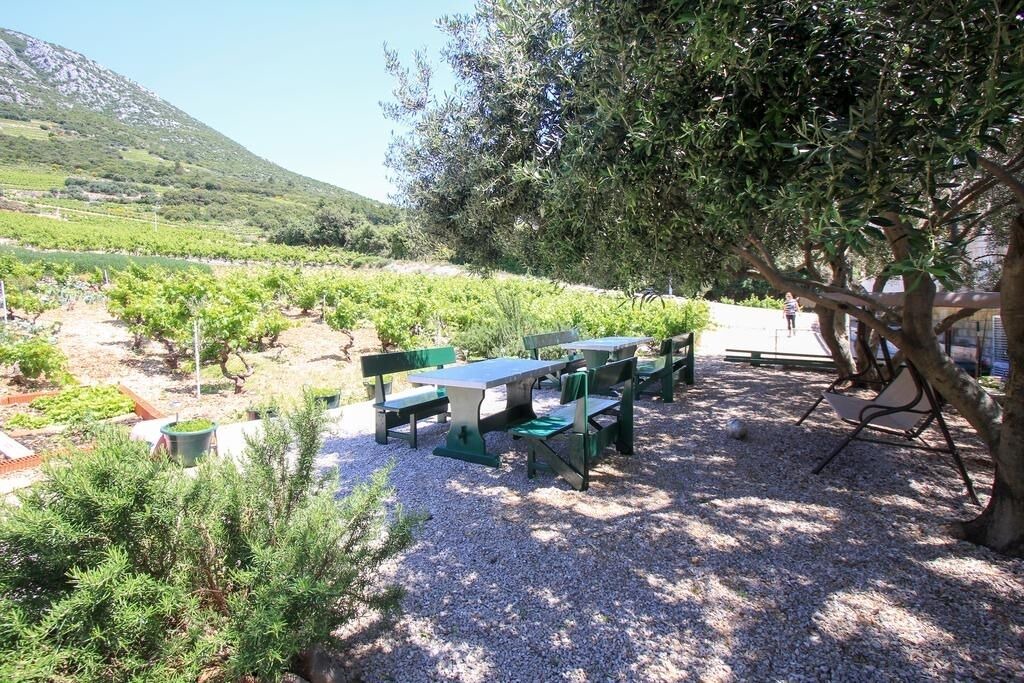 Photo of Outdoor in Orebic