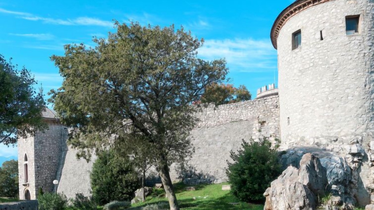 Photo of Others in Sarsoni