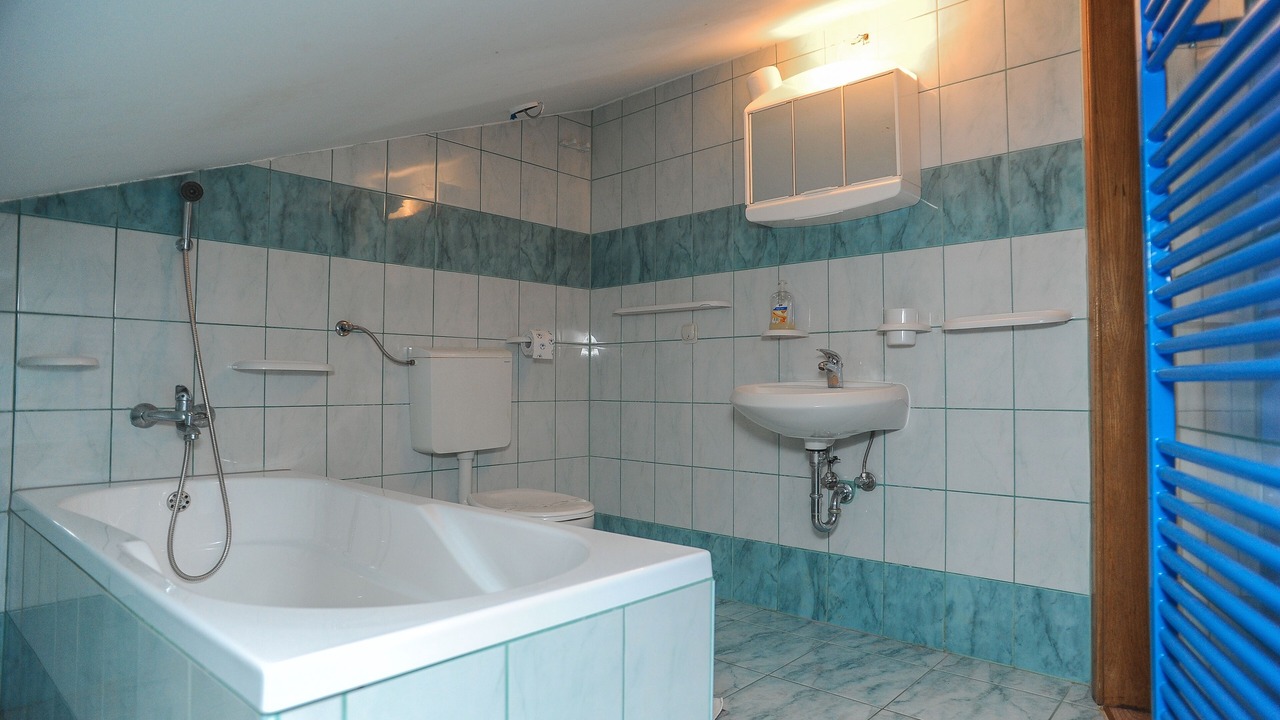 Photo of Bathroom in Caska