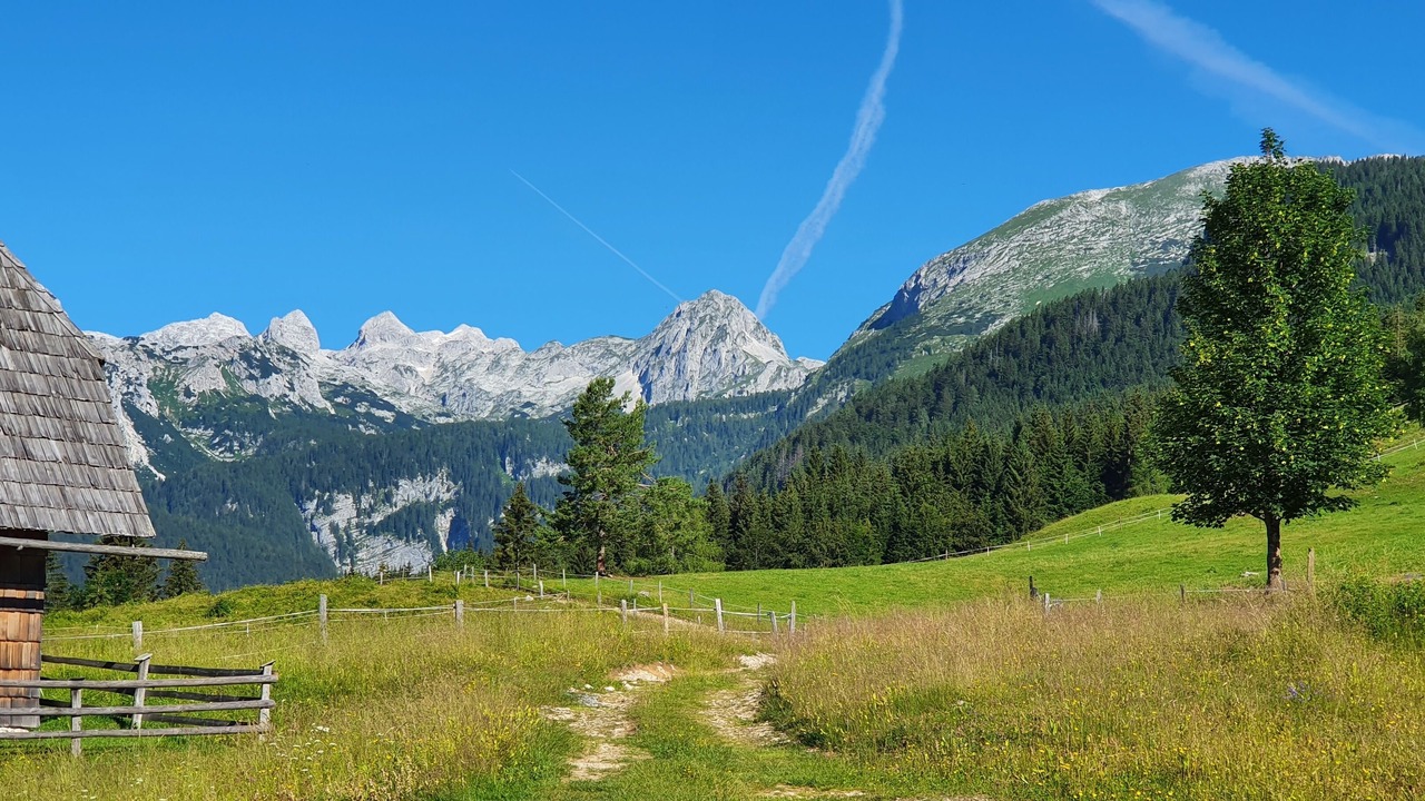 Photo of Outdoor in Studor