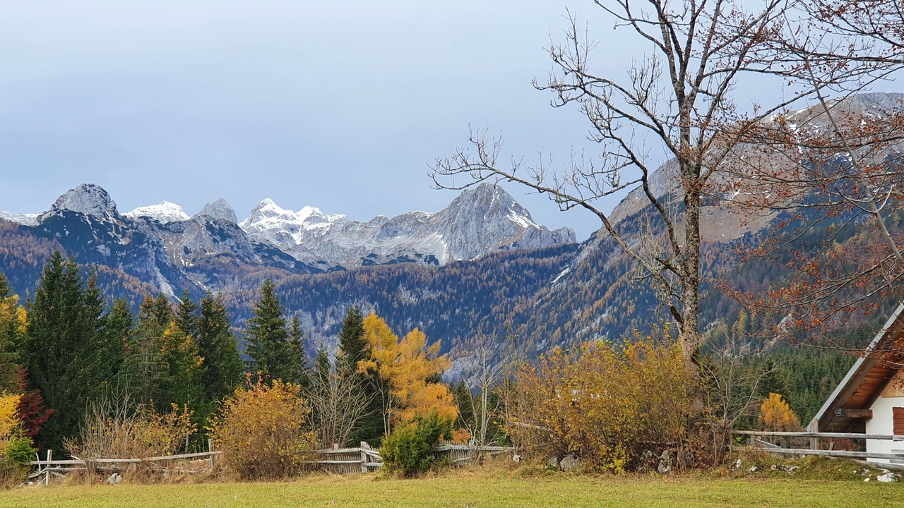 Photo of Outdoor in Studor
