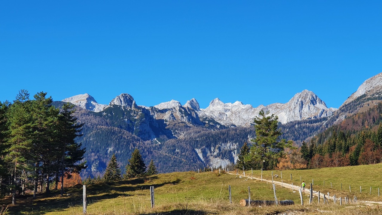 Photo of Outdoor in Studor
