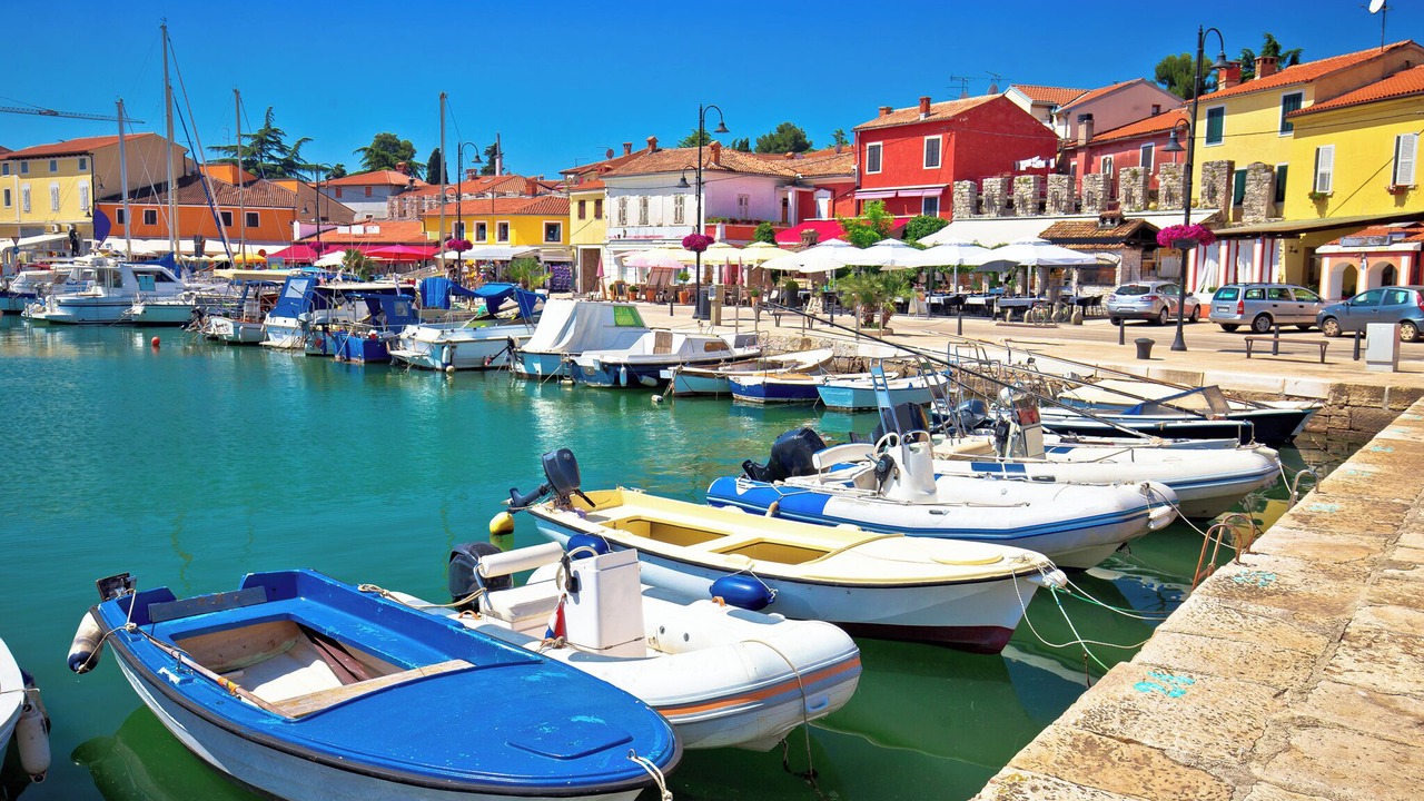 Photo of Others in Novigrad